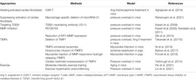 Modulation of Cardiac Fibrosis in and Beyond Cells